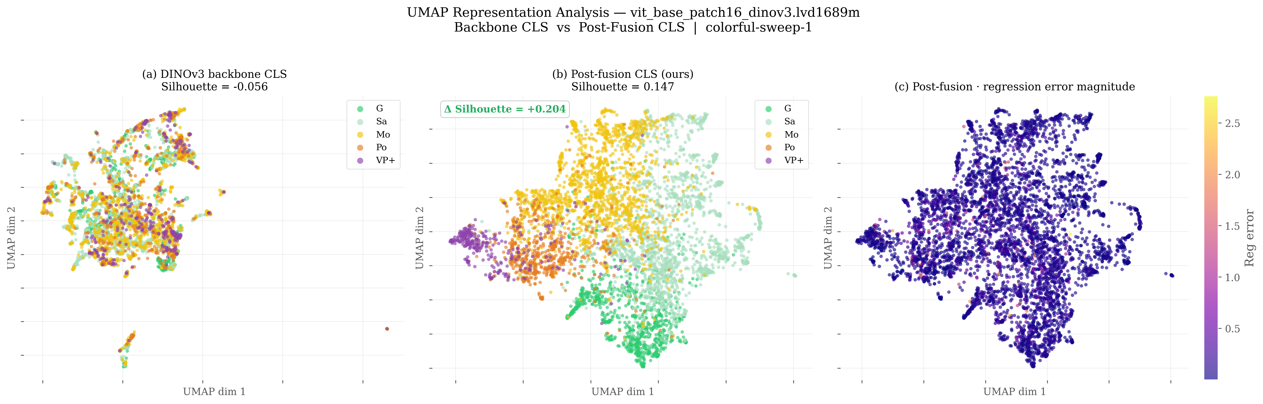 UMAP visualization of PANQIFormer feature space